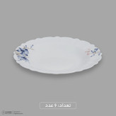 سرویس غذاخوری اوپال 25 پارچه 6 نفره آفر مدل کنگره گلوش