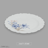 سرویس غذاخوری اوپال 25 پارچه 6 نفره آفر مدل کنگره گلوش