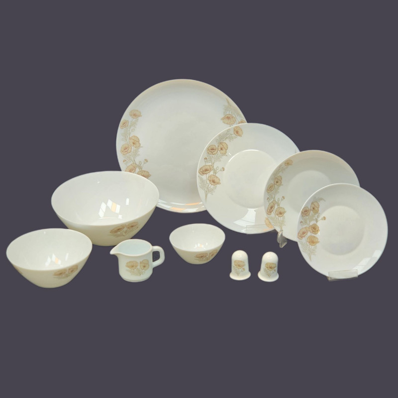 سرویس غذاخوری اوپال 35 پارچه 6 نفره پارس اپال مدل P735-p635